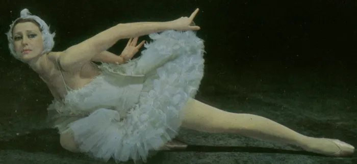 Умирающий лебедь